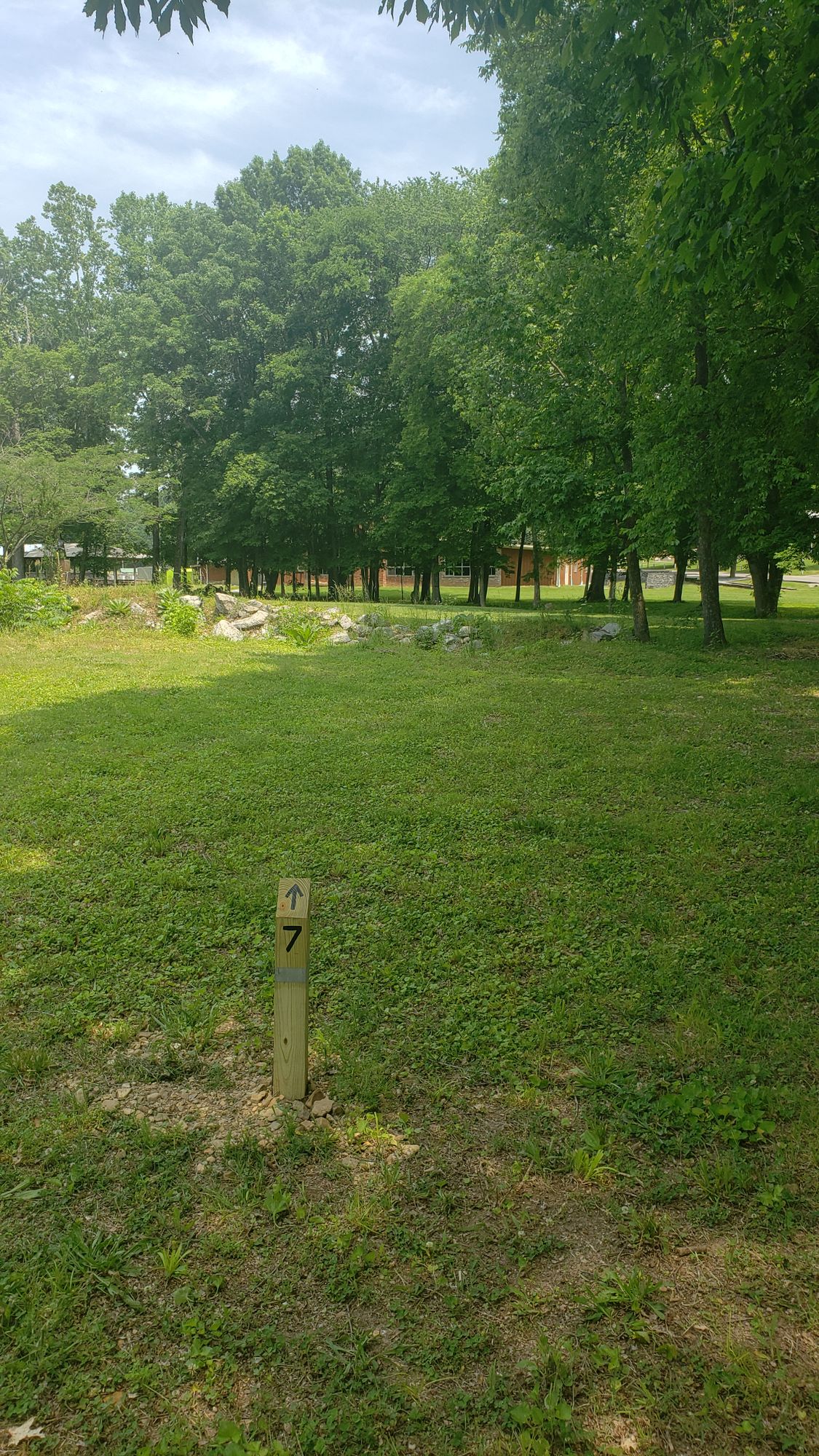 Hole 7
