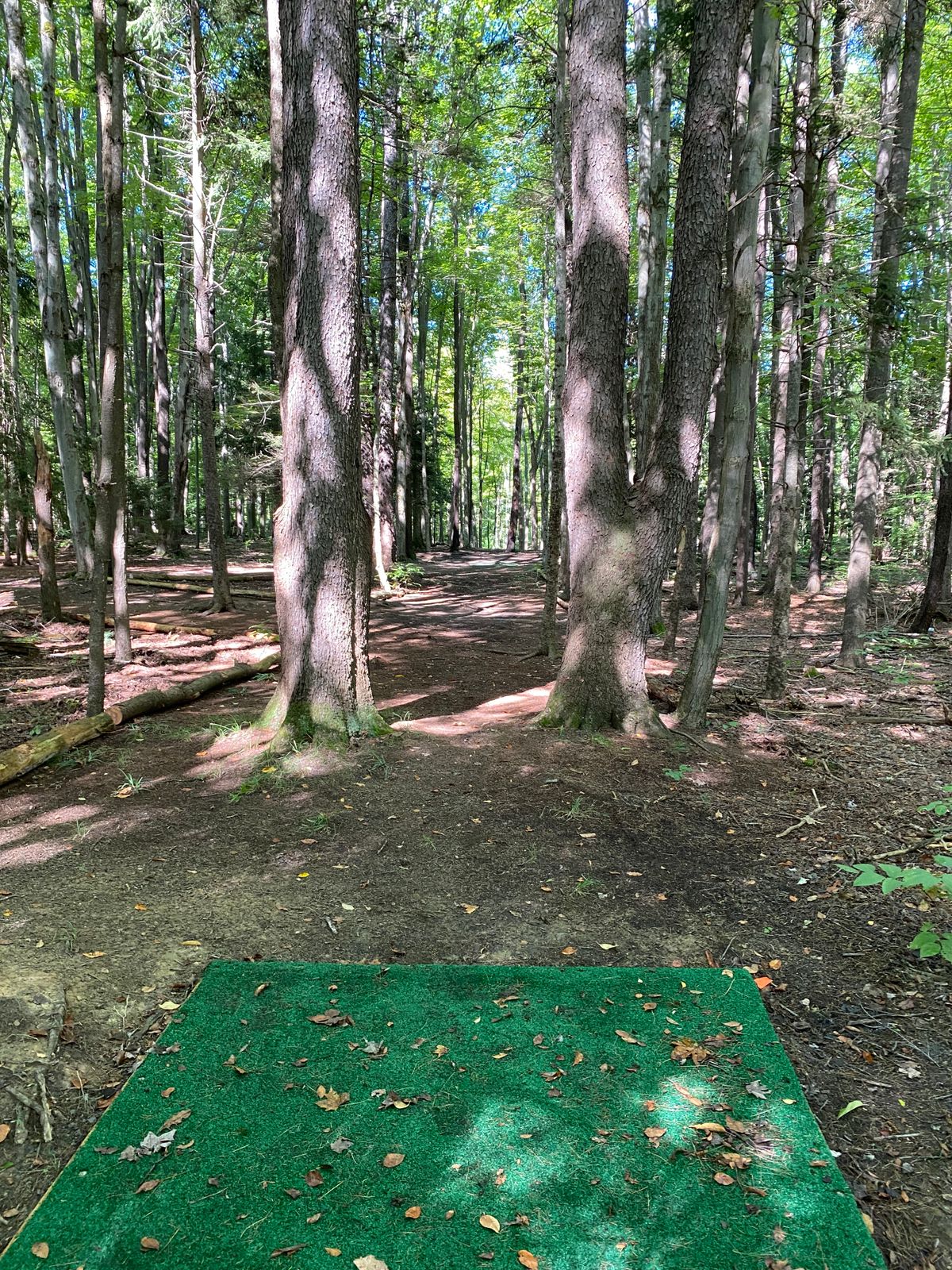 Hole 4 from the gold tees.