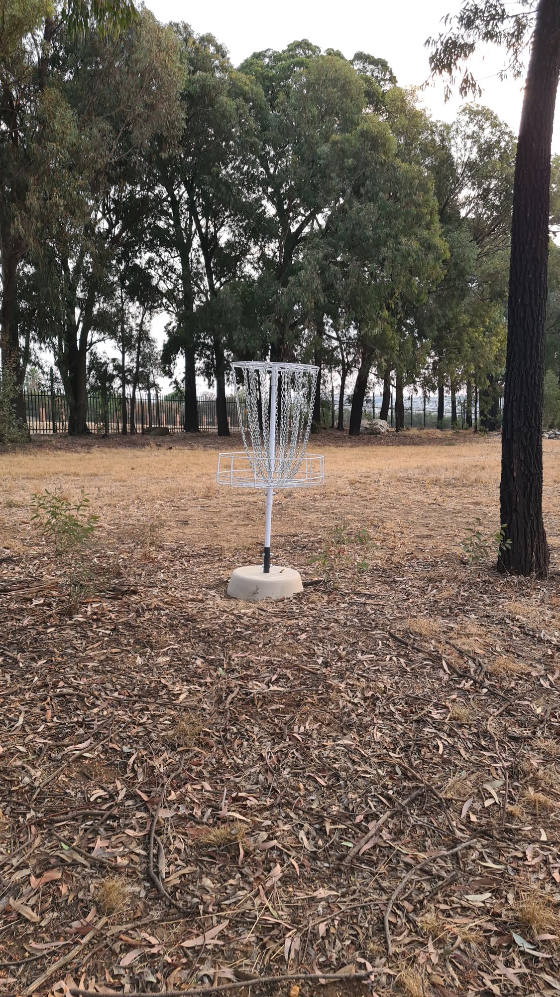 Hole 1/2 Basket