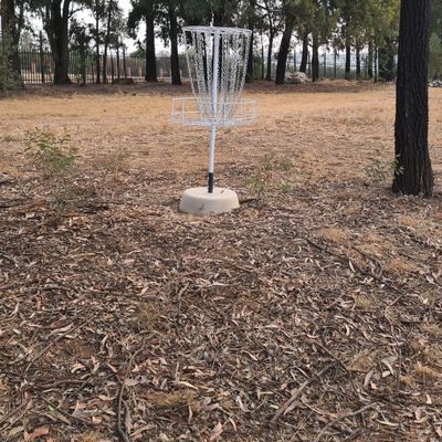 Hole 1/2 Basket