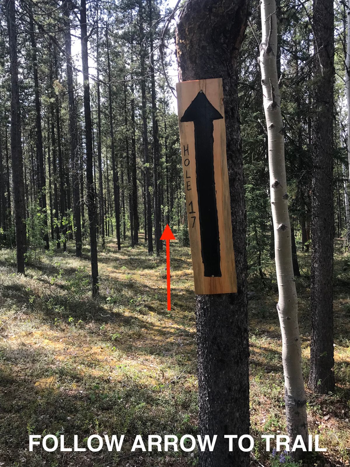 Path to 17