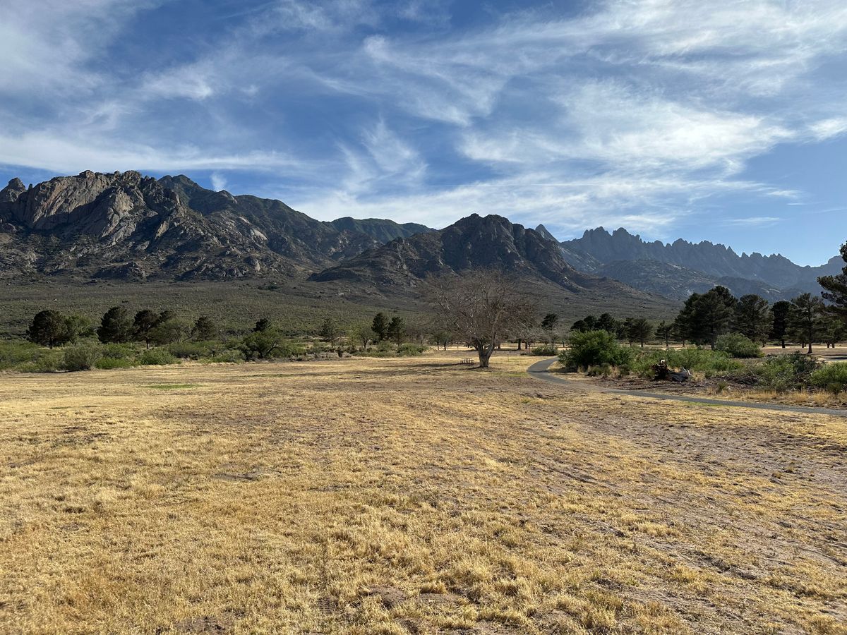 View from 6
