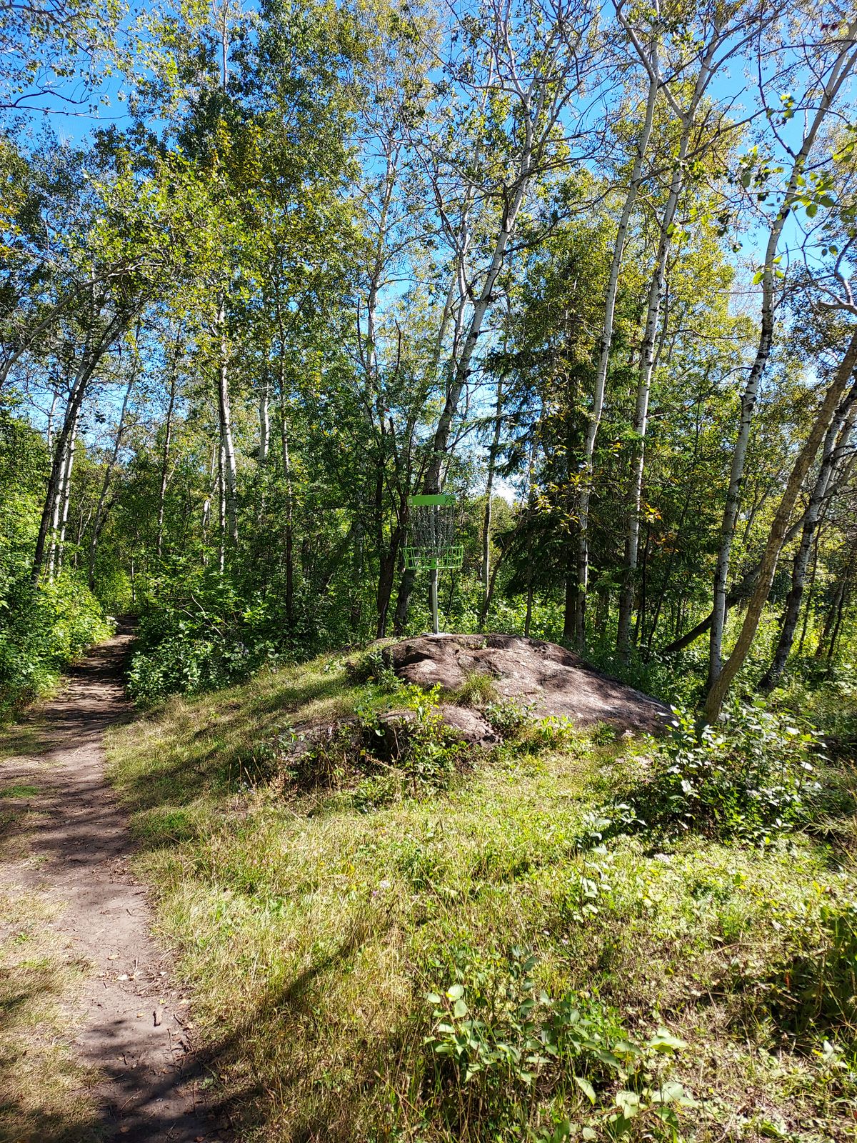 Hole 1 Long Basket