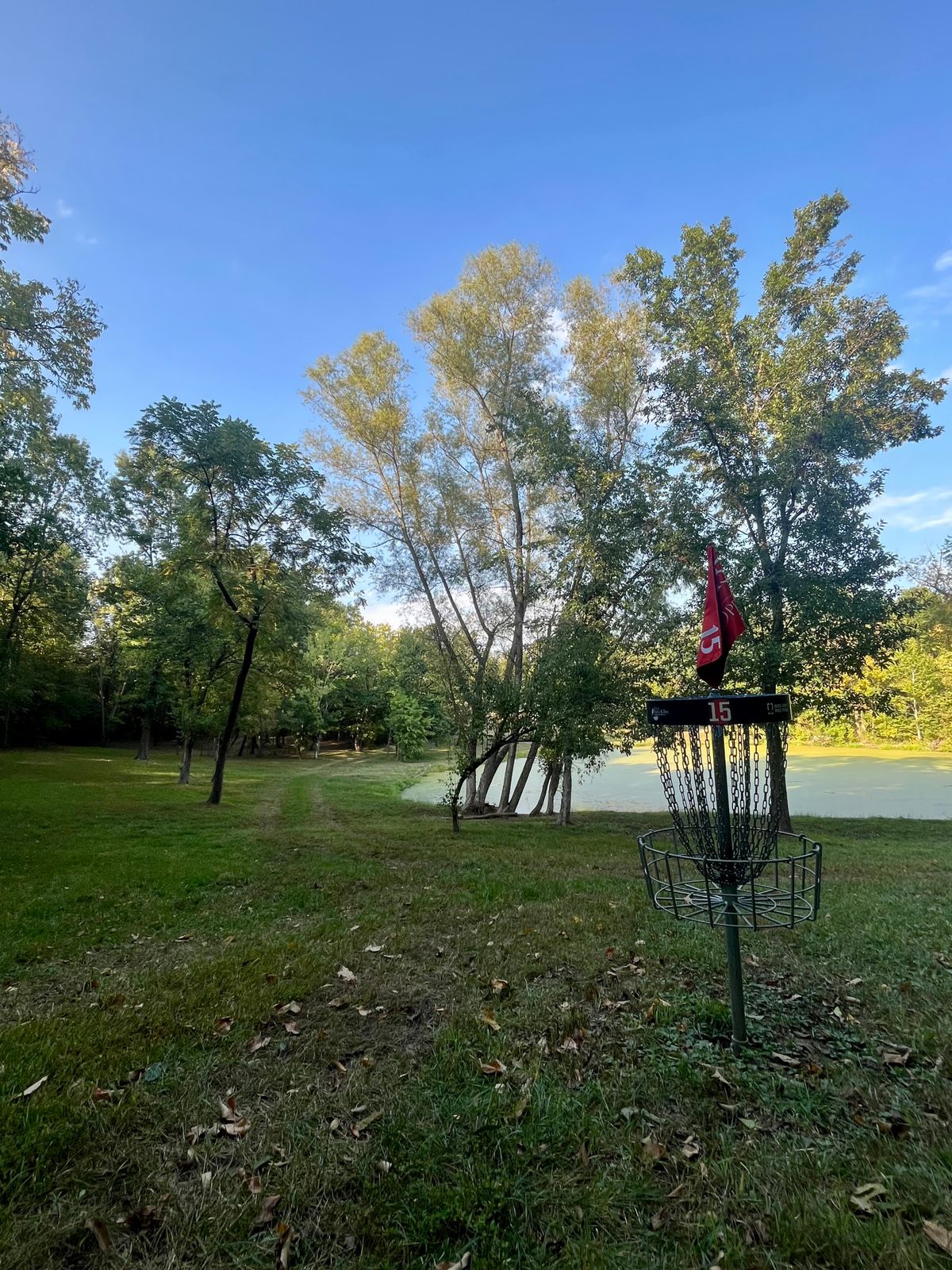 Hole 15 basket and fairway