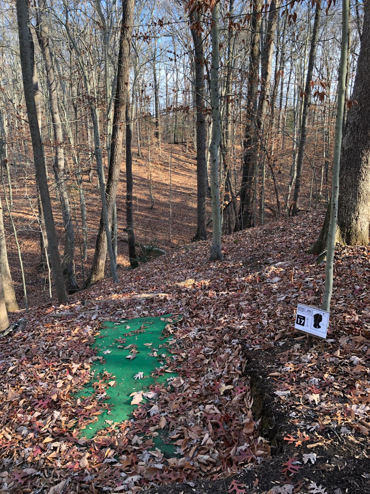 Hole 17 tee (use ‘path’ going downhill in front of tee to cross creek and head uphill toward basket)