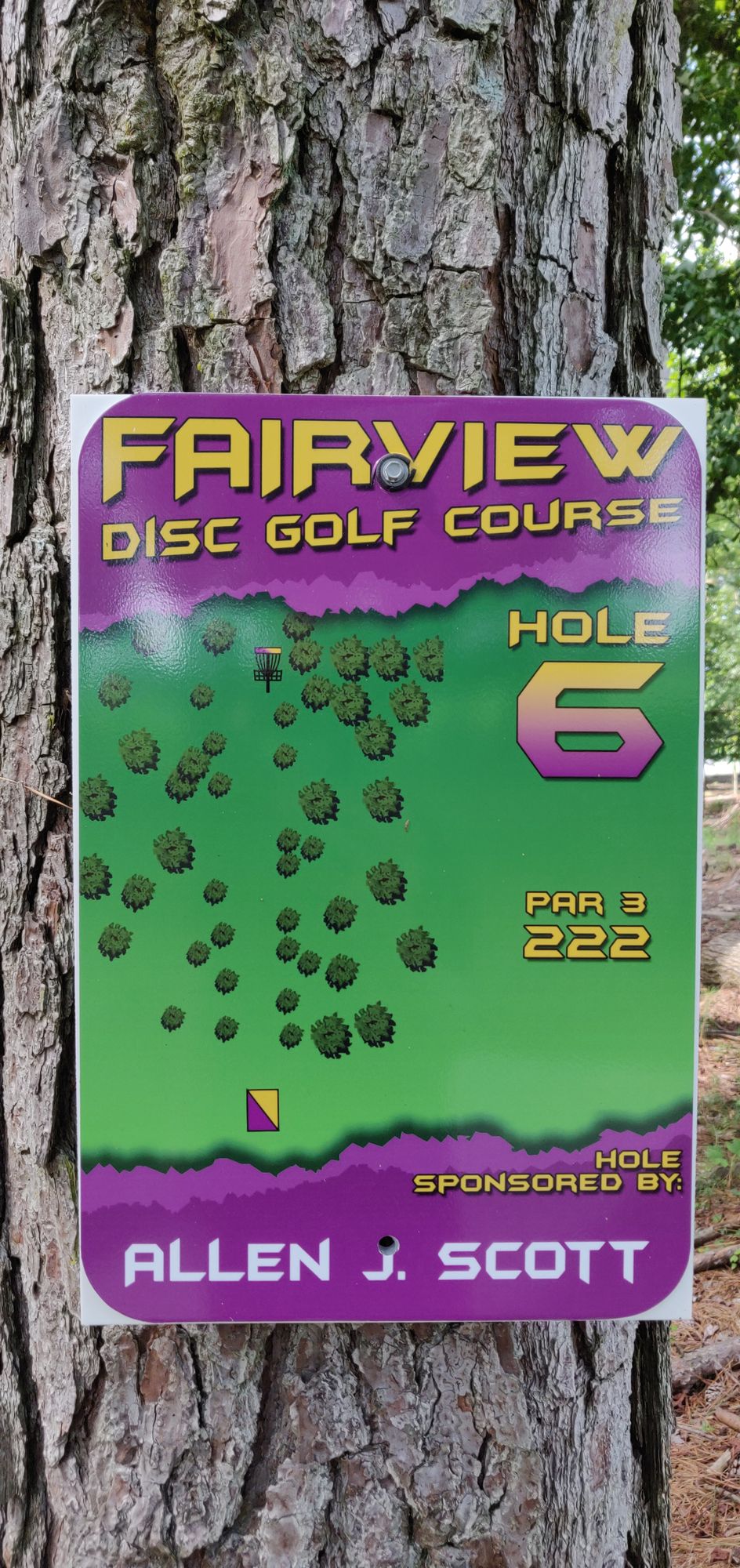 Hole 6 TeeSign