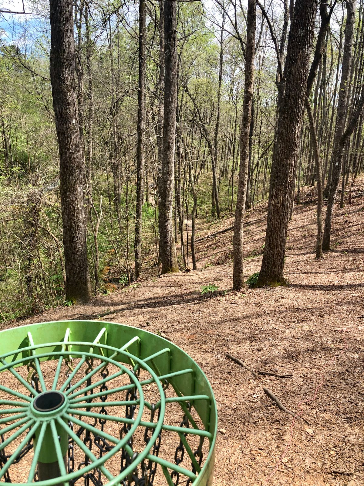 Hole 2 looking down towards tee