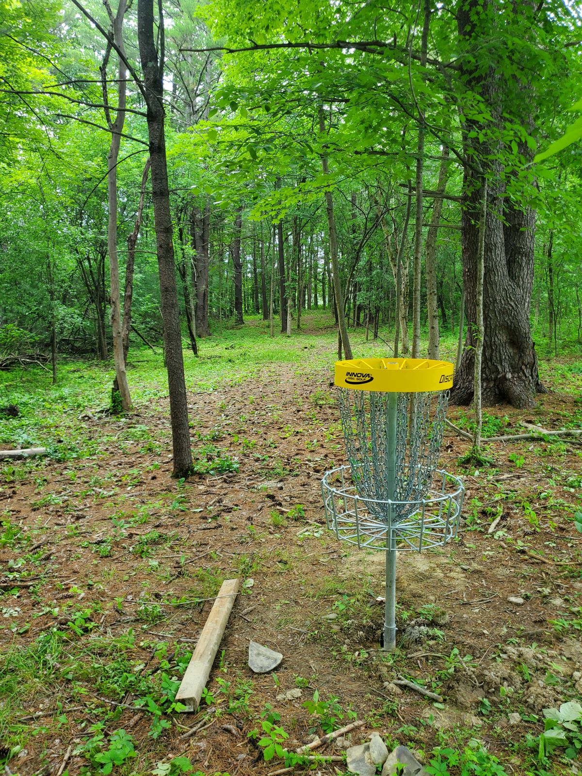 Hole 9 looking back at tees.