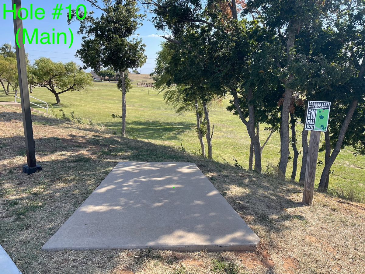 Hole #10 (Main) - Basket is down the hill behind the tree.