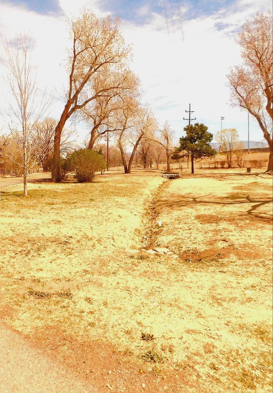 LG Mixed course Tee #7