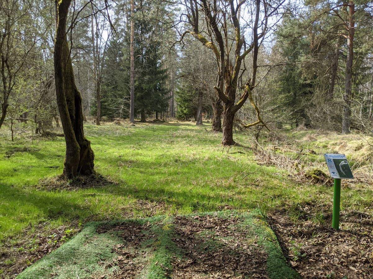 Hole 8: Sharp dogleg right