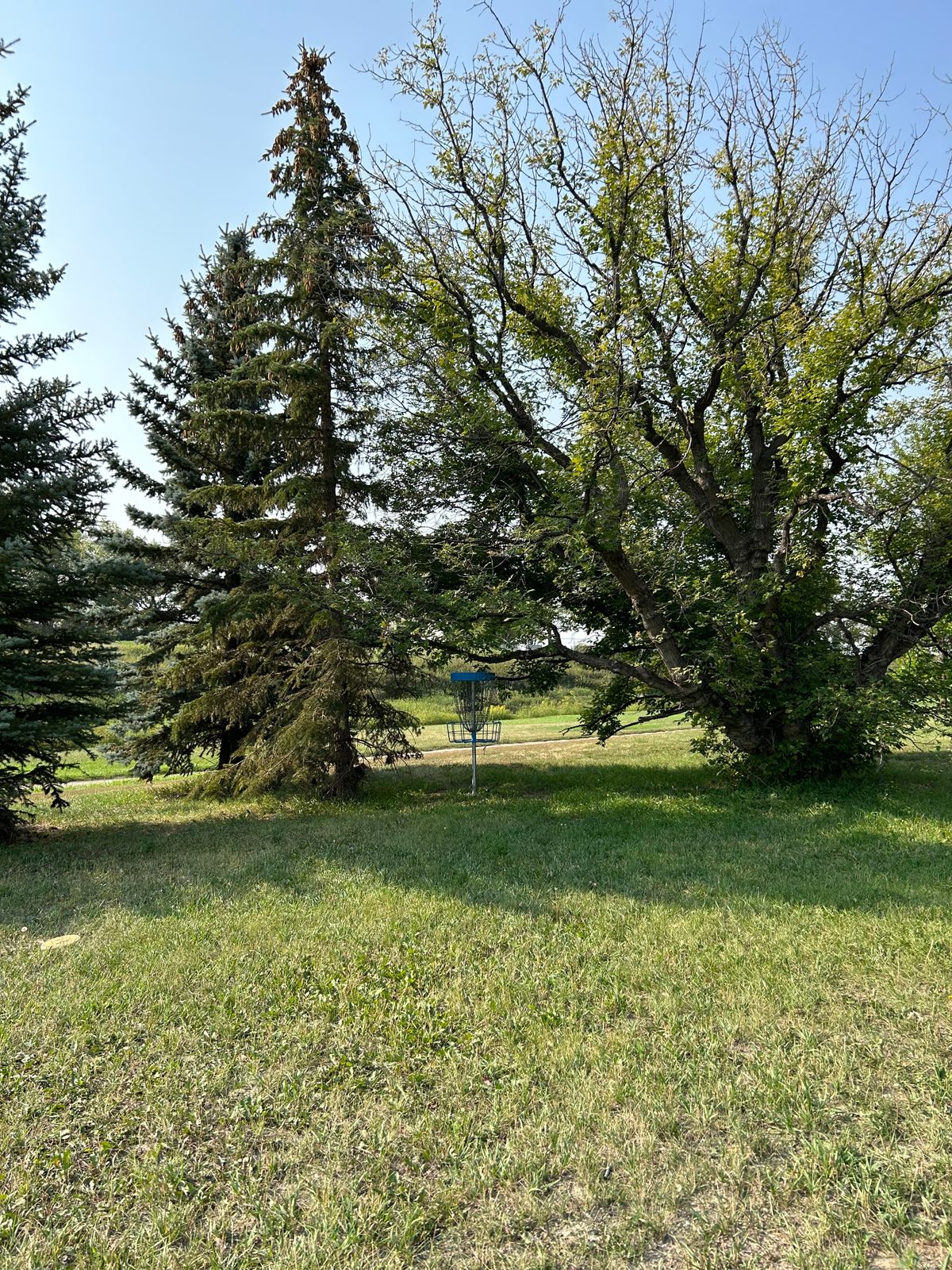 Hole 12