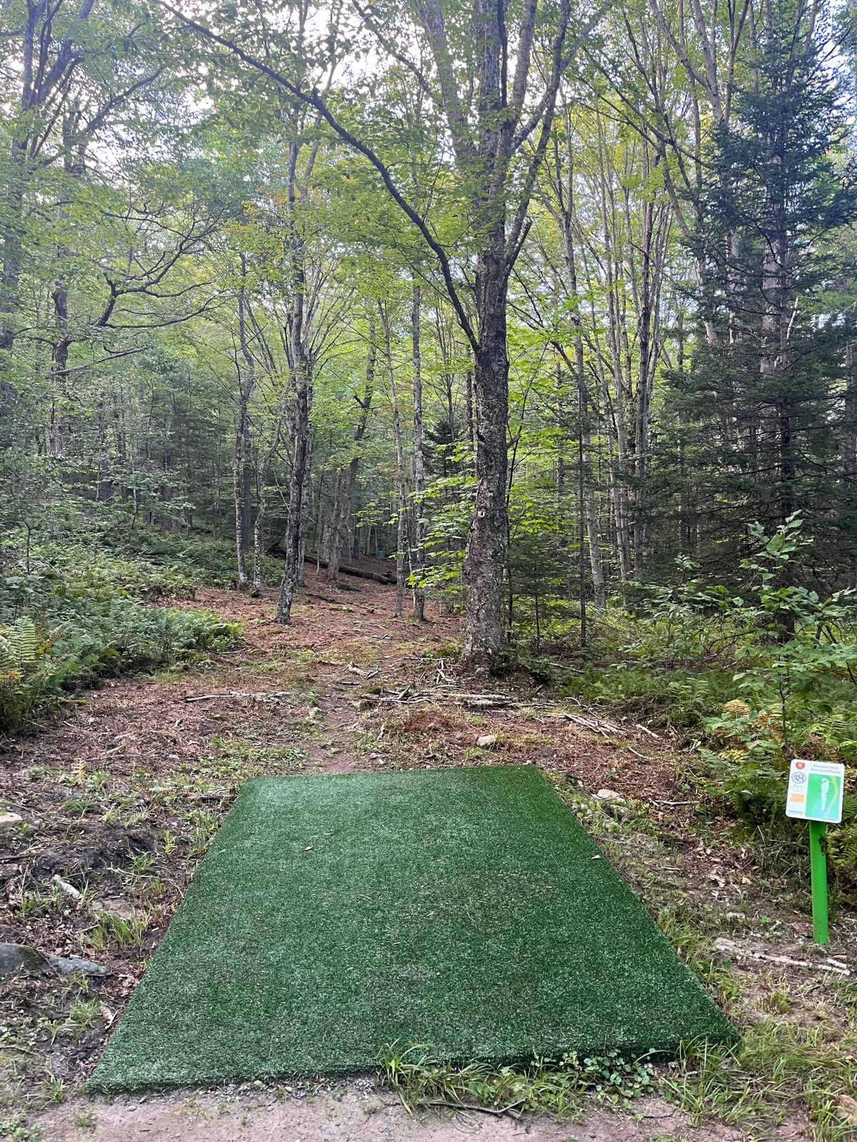 Hole 18 tee pad