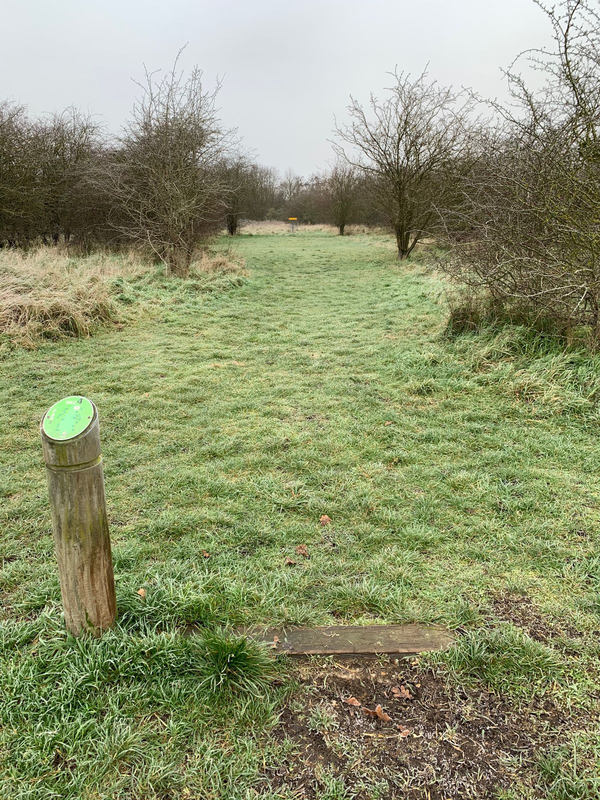 Hole 4