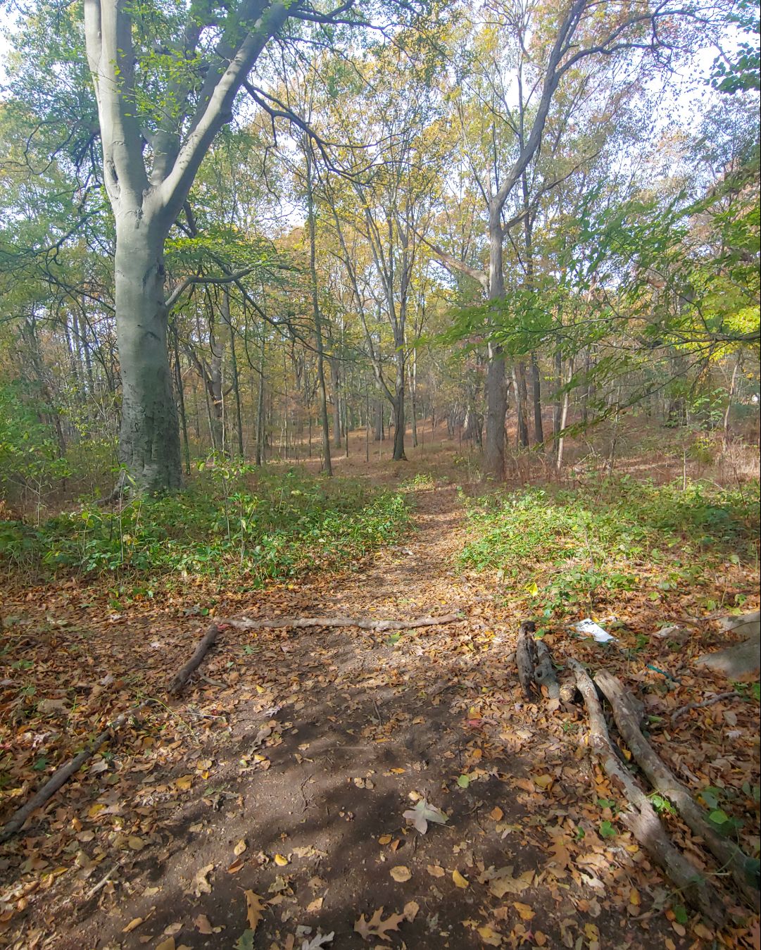 Hole 11 tee