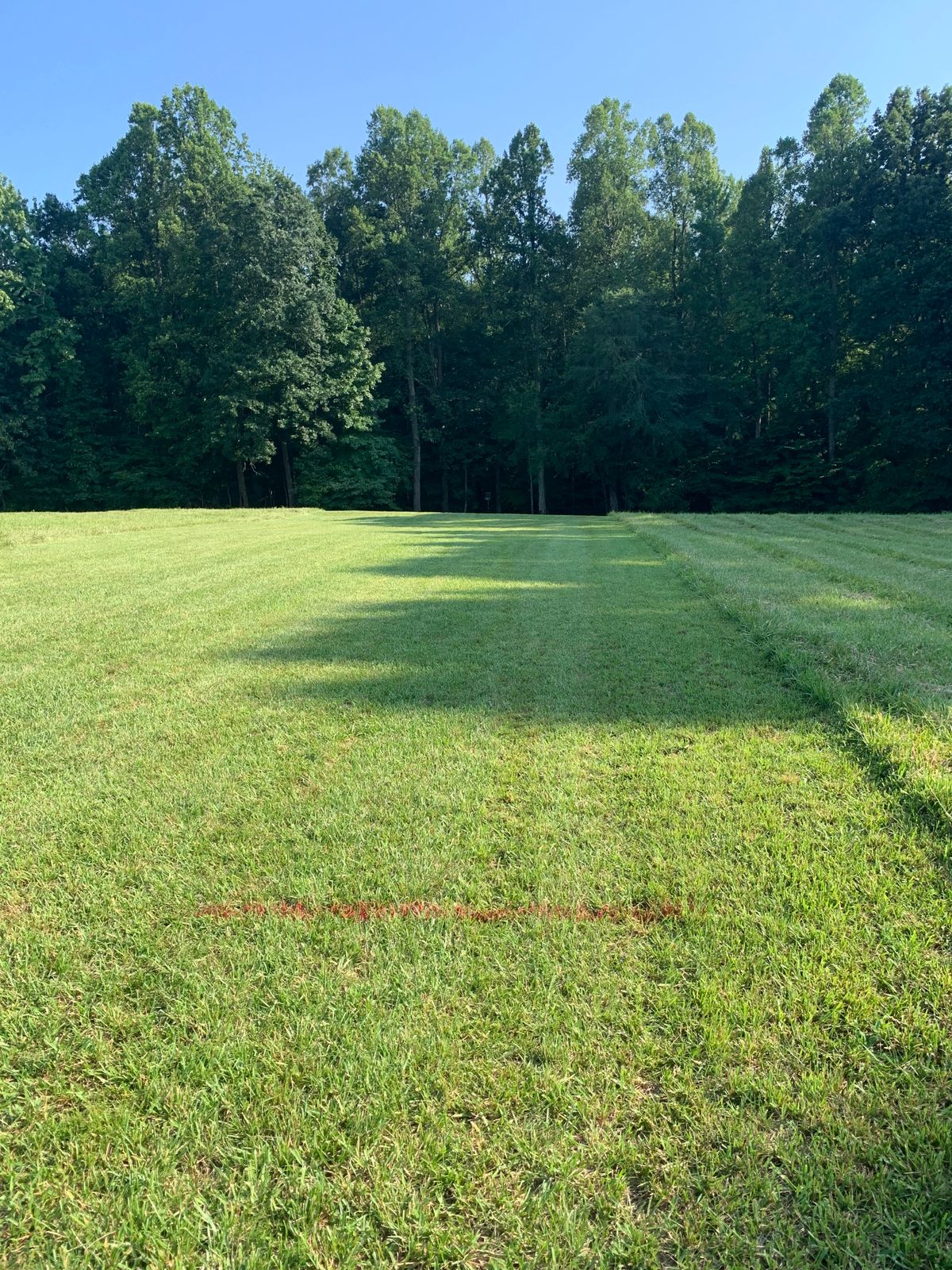 Hole 5 Red Tee. 