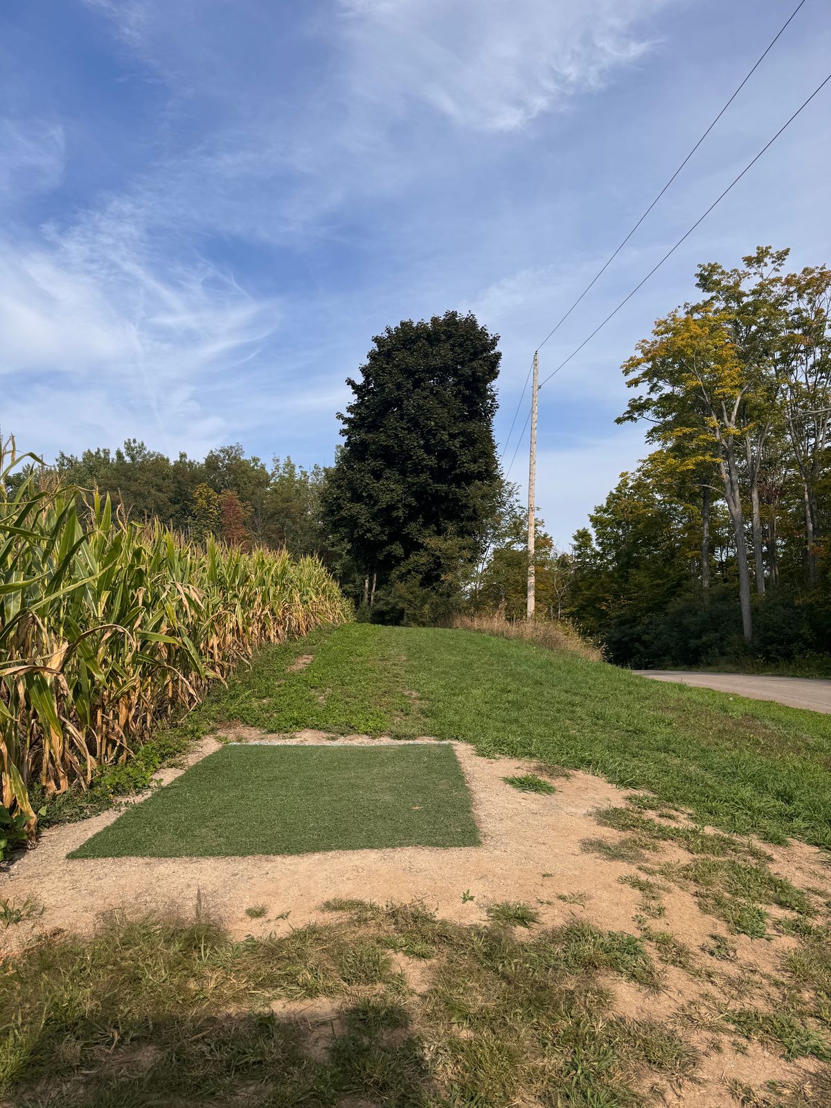 Hole 1 shorts