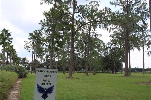 Hole 3 tee box
