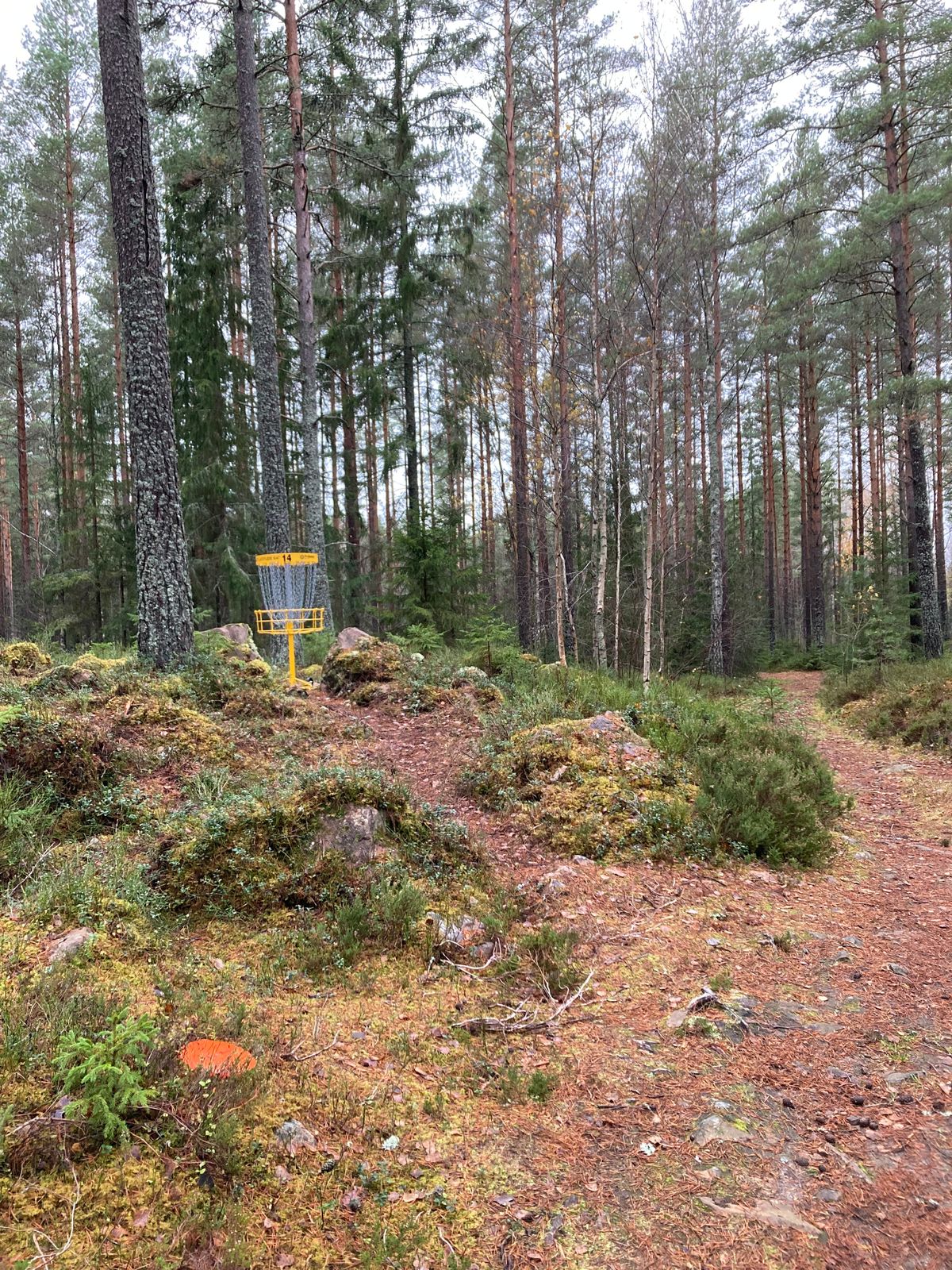 Korg hål 14