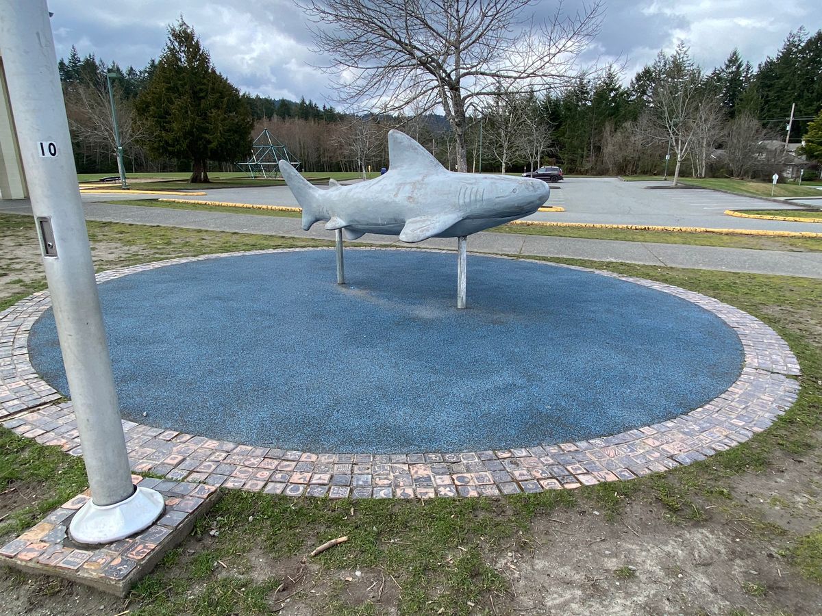 THE SHARK TANK at Bayside Middle School built by students for students.  Course Designed by Cooky.  Hole 11 par 2!   and  is an island hole.  Grass and asphalt is OB you can hit any part of the Shark but if you land outside the circle of bricks play hazard or OB..   Drop Zone is by the flag pole behind bench.