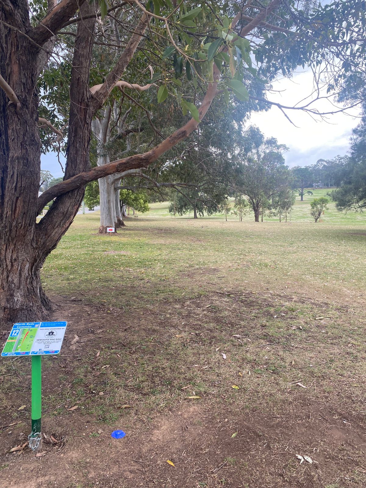 Hole 12 Fairway