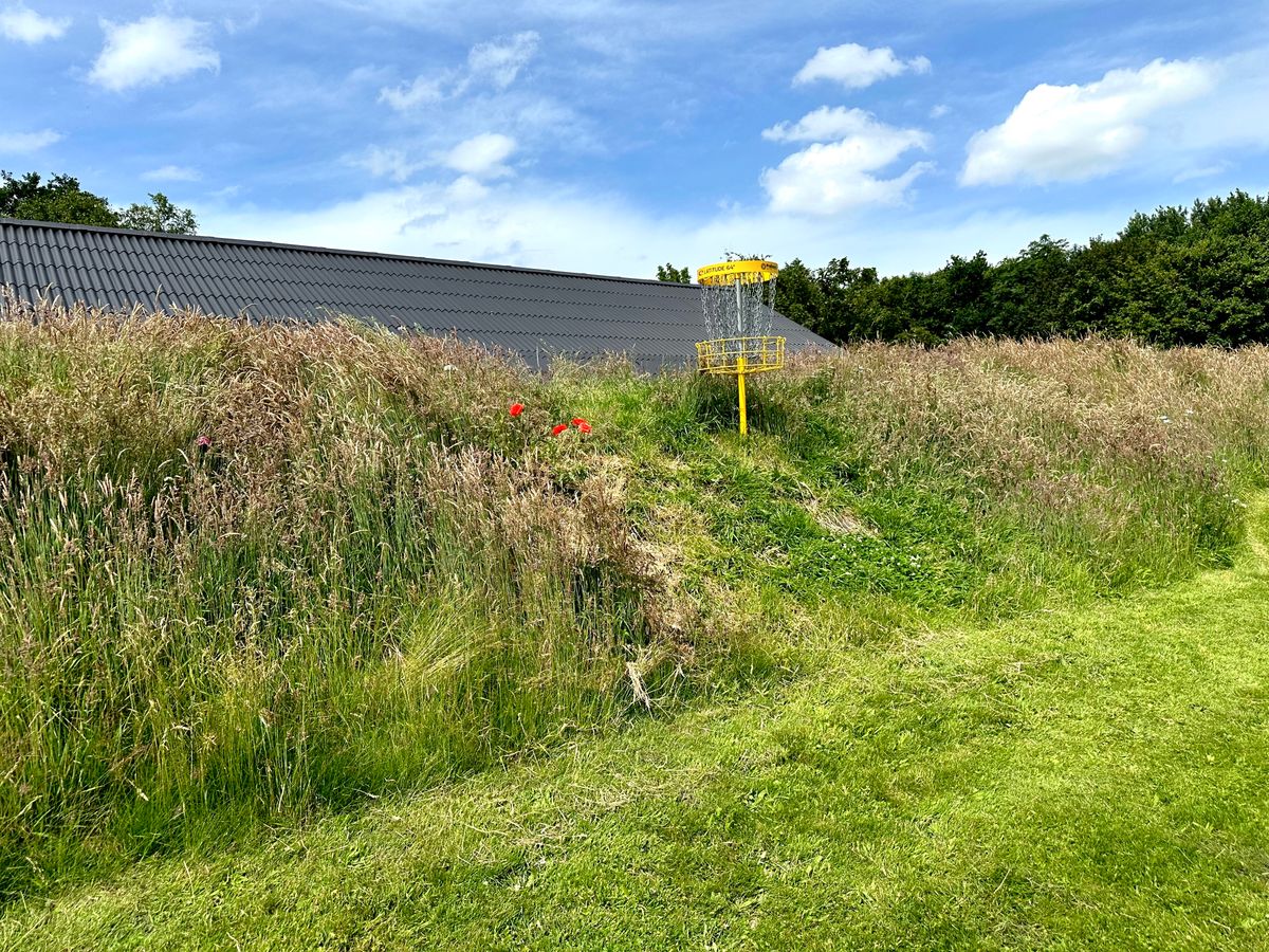 The basket at hole 6 - annoying to hit due to the elevated position