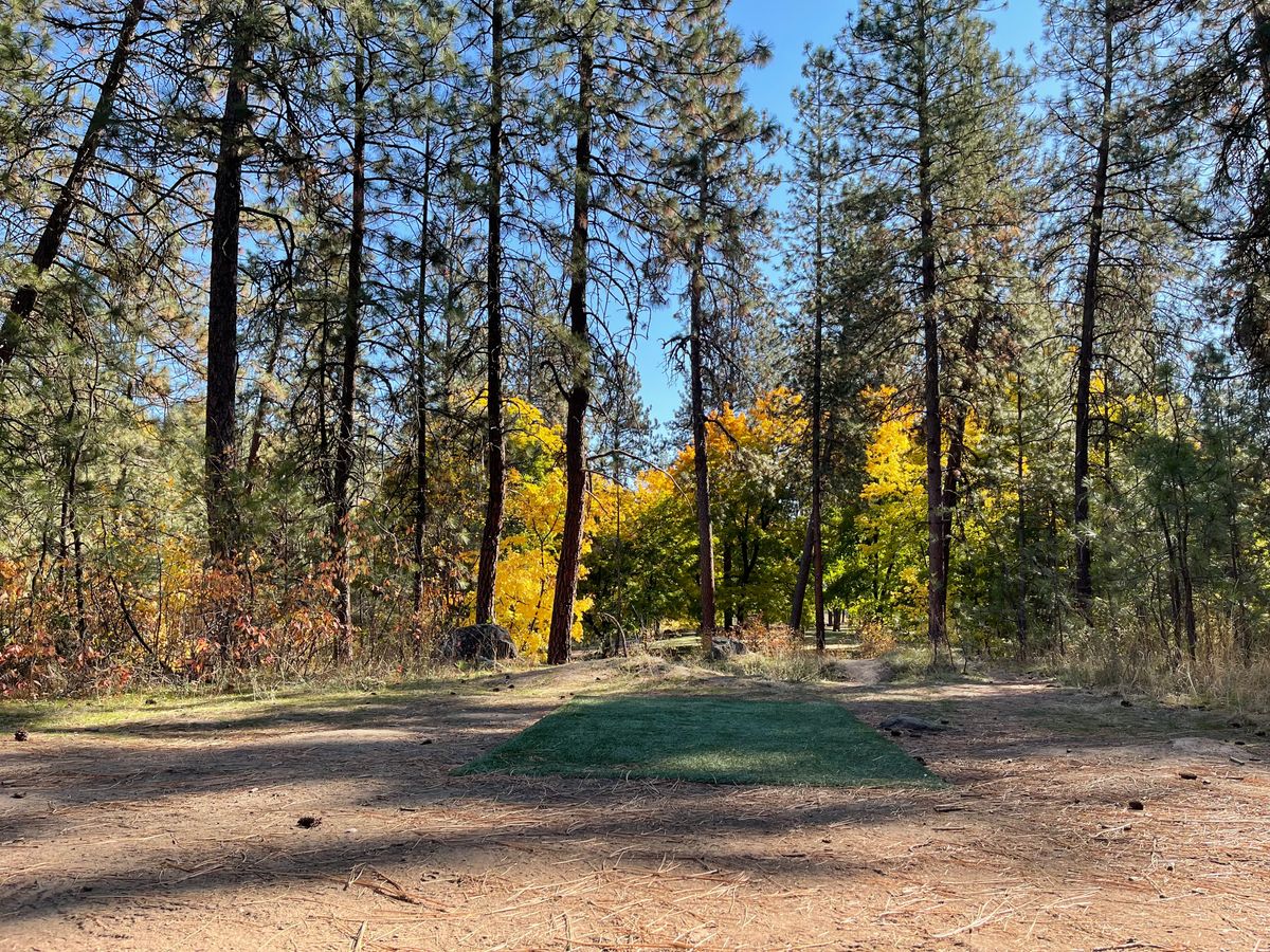 Hole 12 tee pad