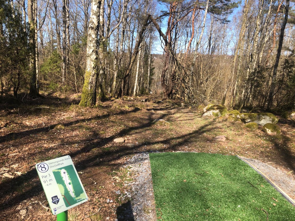 Hole 8