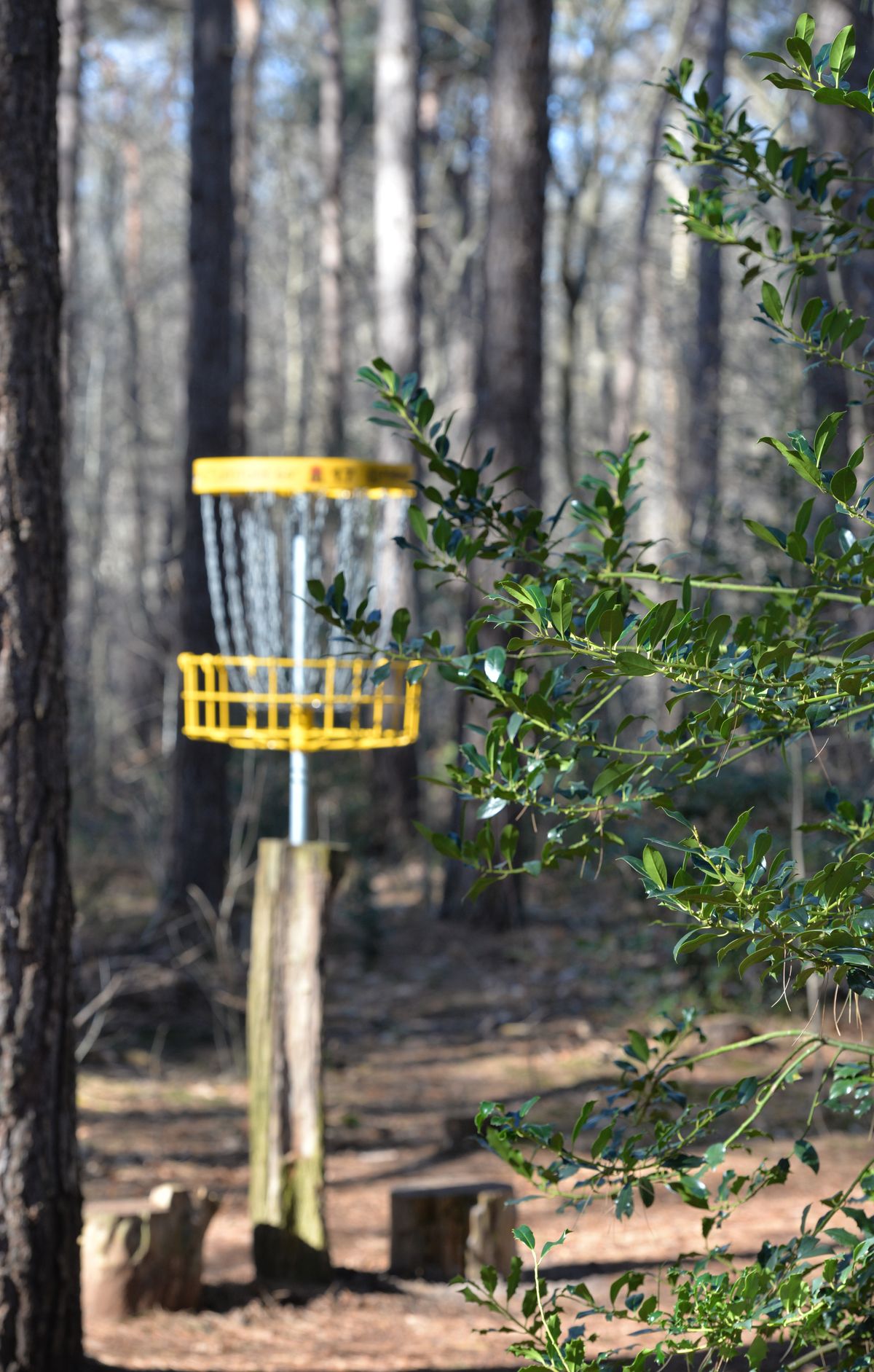 Elevated basket hole17