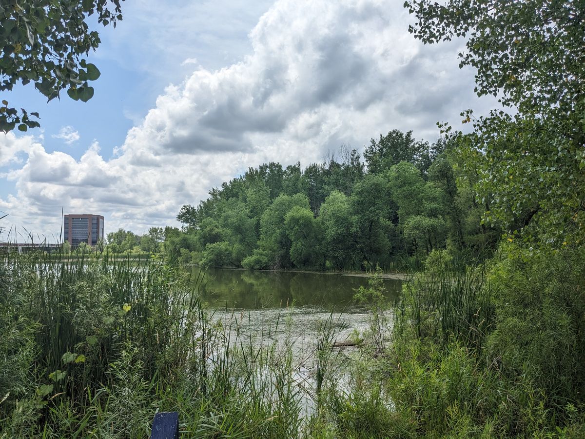 There used to be three gaps to hit: short, medium, long. Now it's just wilderness -- thanks Blaine, MN.