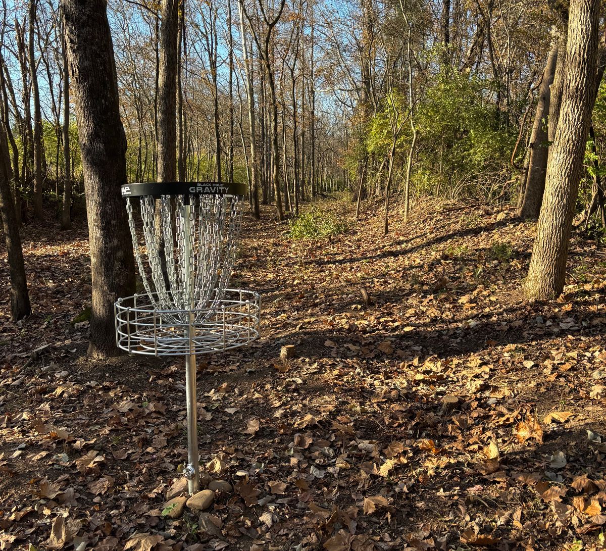 Hole #17 Basket to Tee