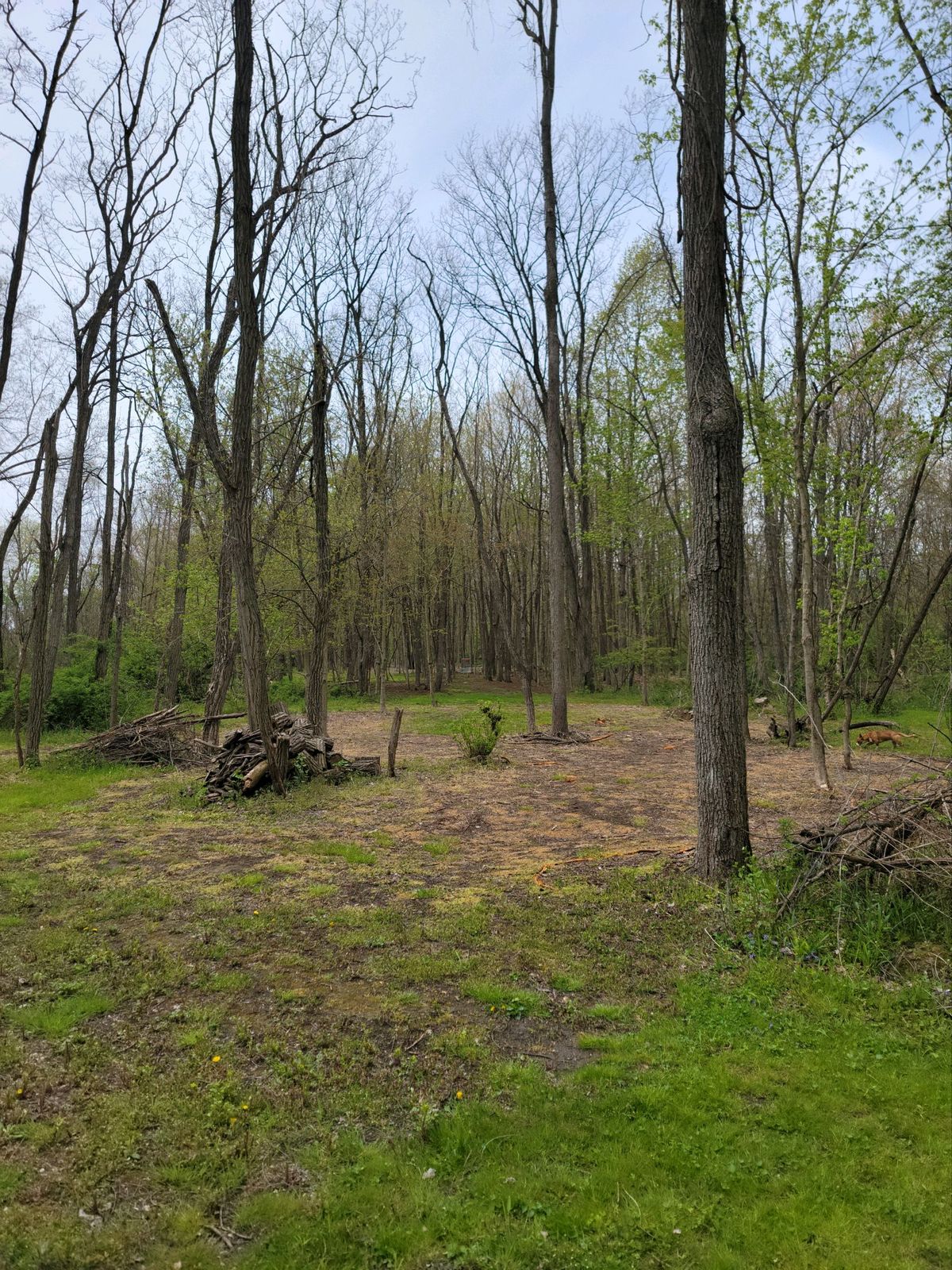 Hole #8 fairway