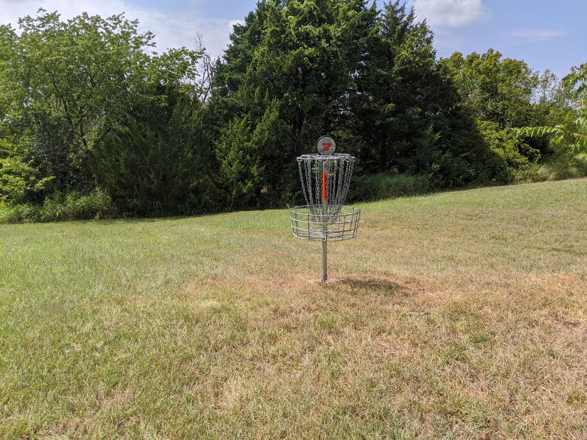 Hole 7 basket