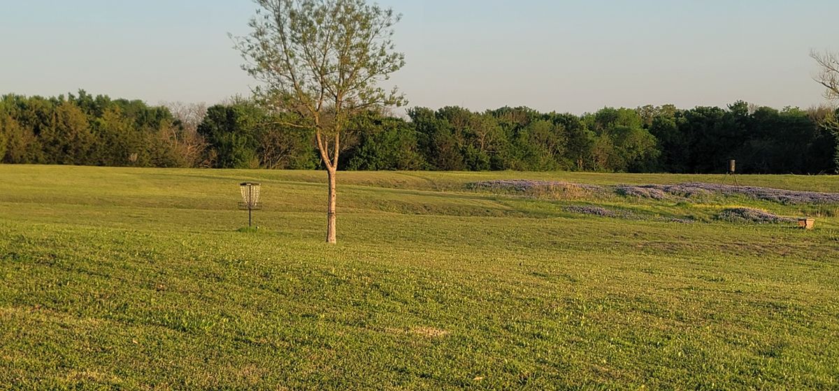 hole 16 green and basket.  This basket is also used for holes 5 and 18.