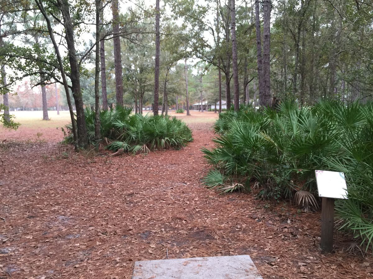 Hole 10