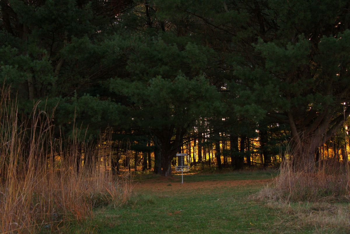 Hole 5