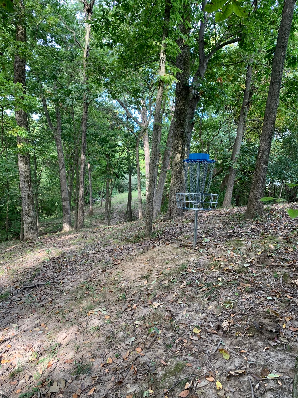 Hole 10 view behind basket