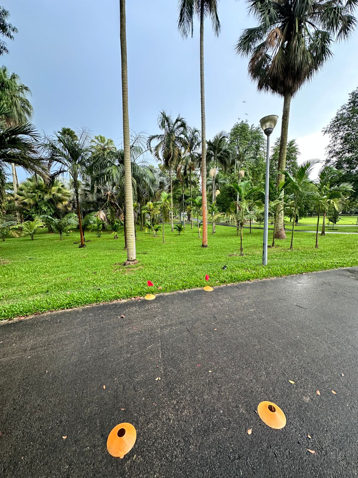 Hole 6 Teepad