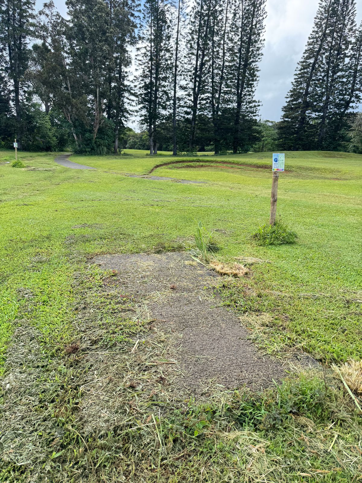 Tee box condition seemed typical. This was definitely one of the worse ones.