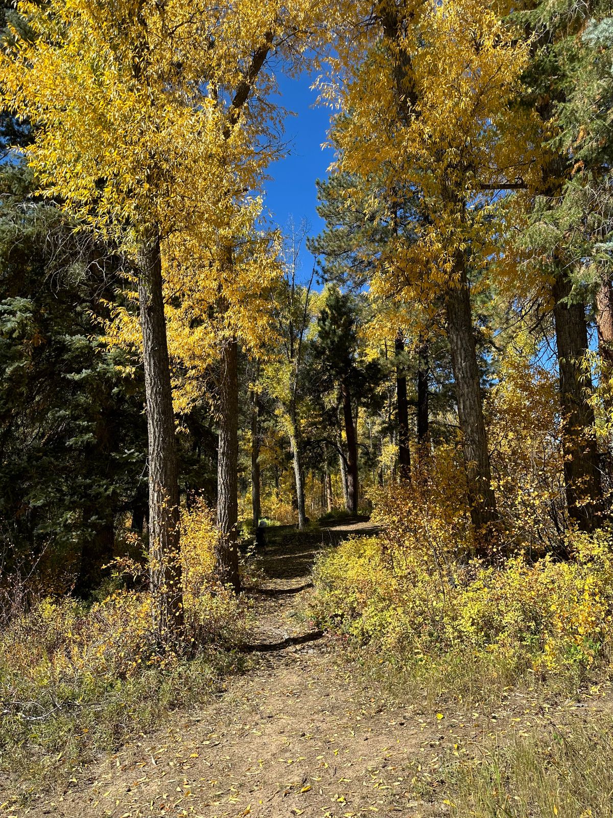 Hole 1