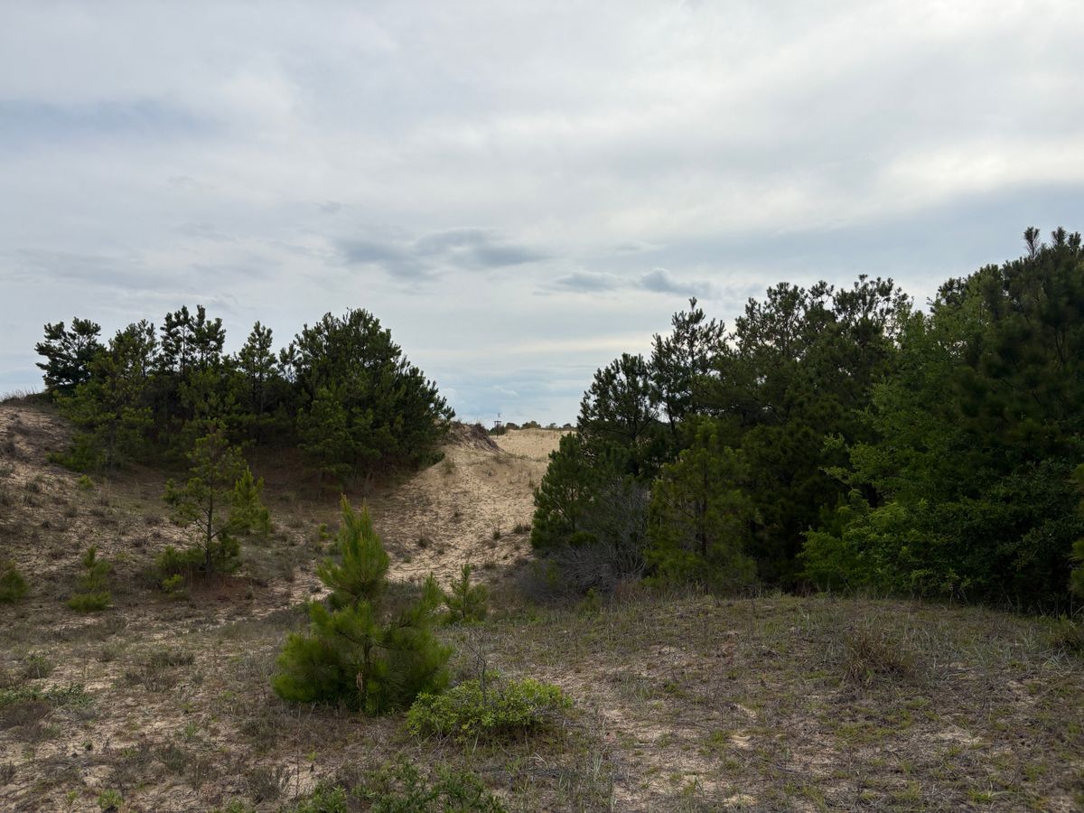 Hole 1 approach