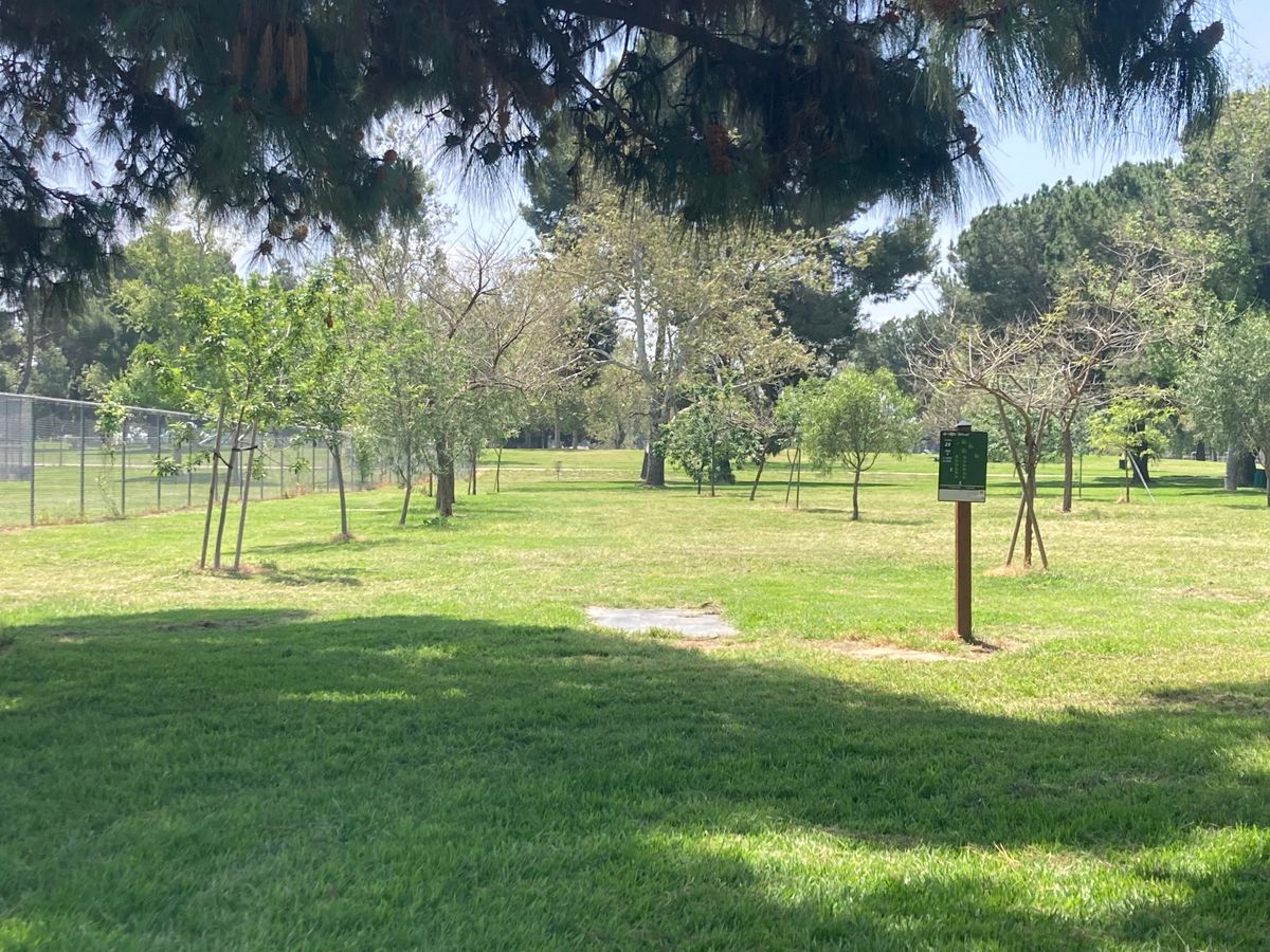 Hole 25