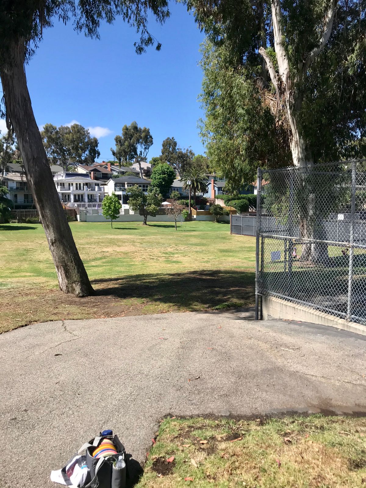 Hole #6 - Downhill elevated teepad let one fly