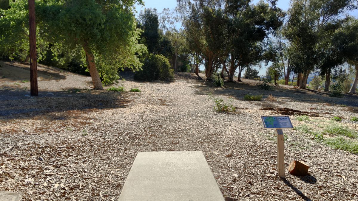 Hole 8