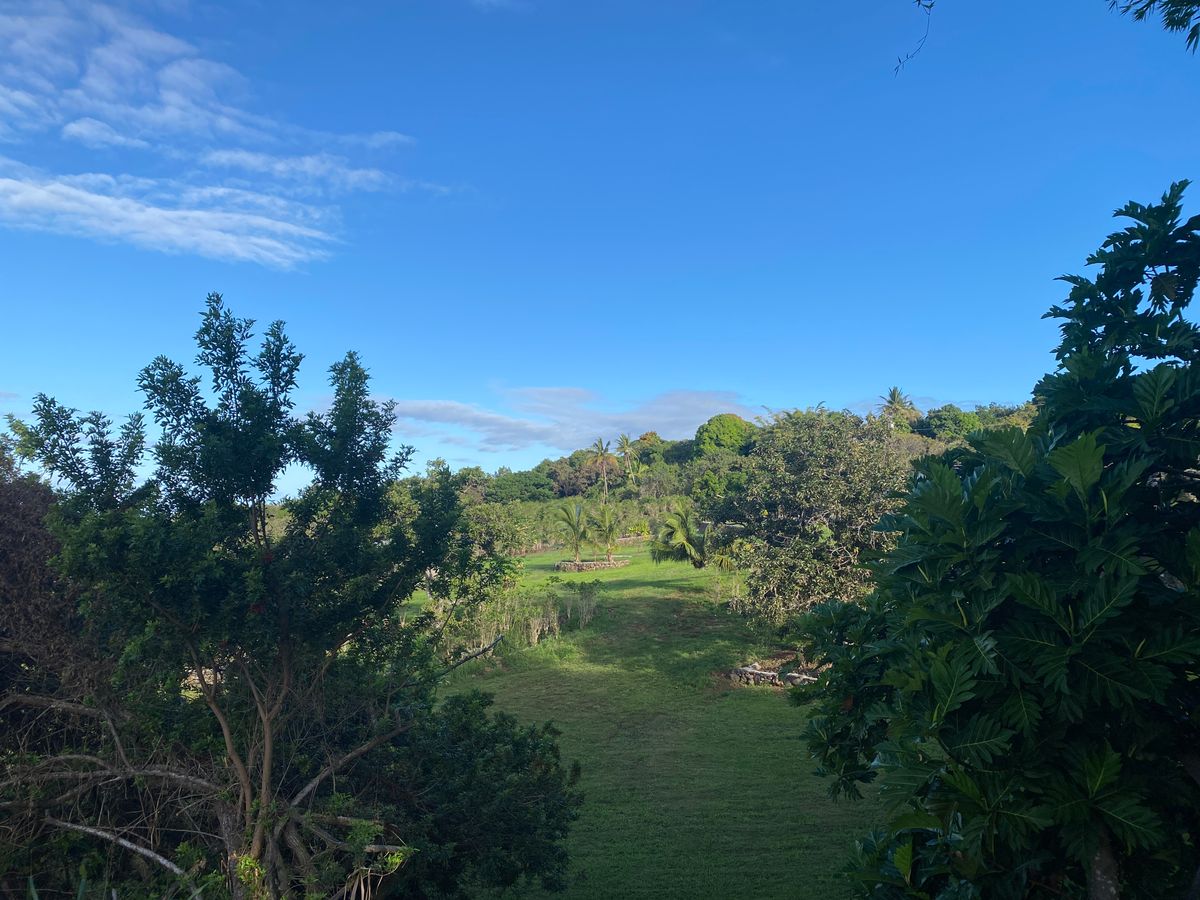 Hole 4