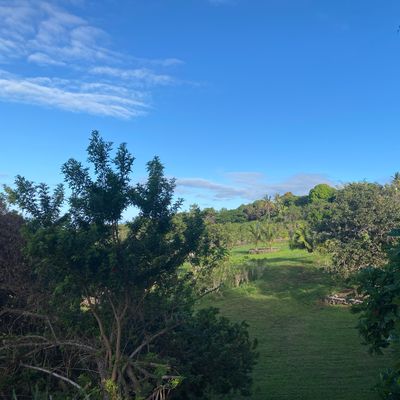 Hole 4
