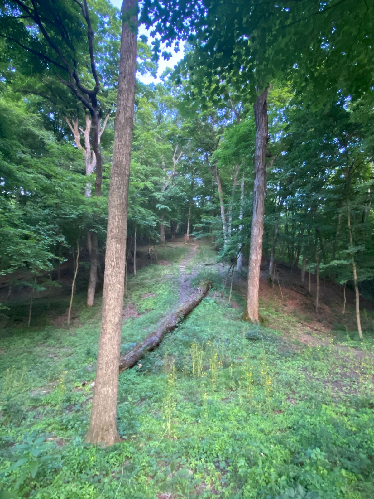 Hole 9 approach
