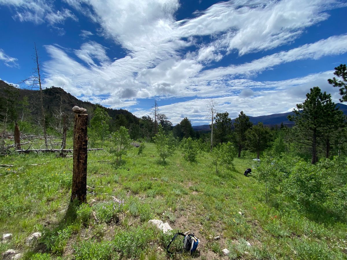 Hole 12 tee