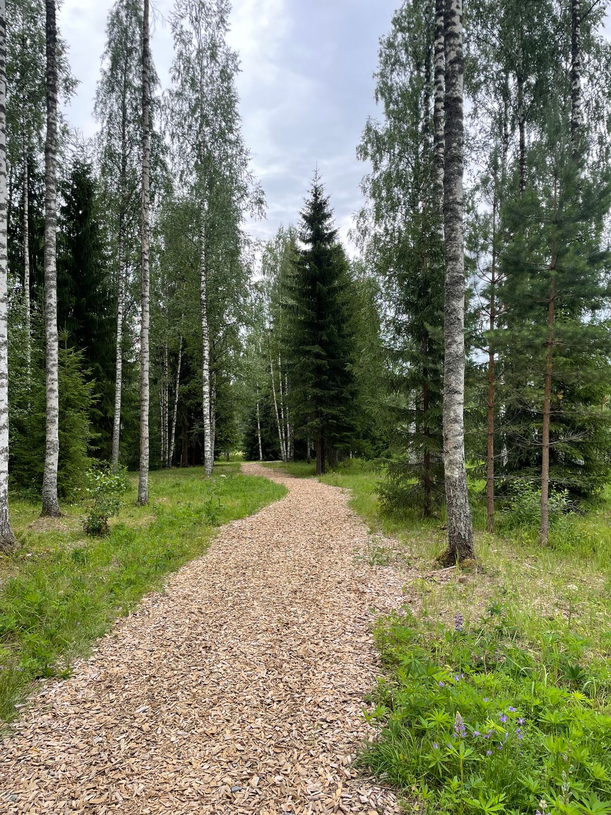 Väylä 2