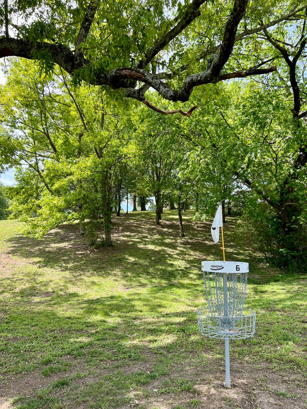 Hole 6 short